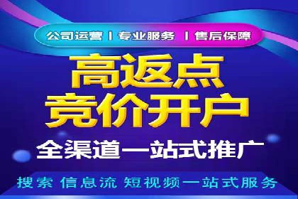 百度竞价代运营的成功案例：从零到一的突破